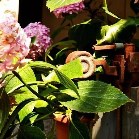 ベッド・アンド・ブレックファスト Marakasa