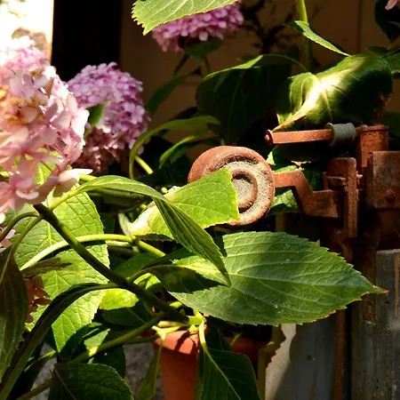 Marakasa B&B Sant Antoni De Calonge